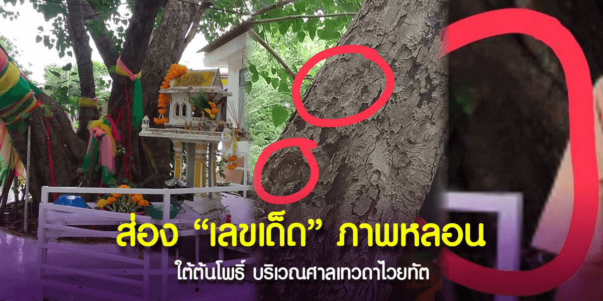 หนุ่มสายมู ถ่ายภาพต้นโพธิ์ติดคนแก่นั่งยอง ๆ
